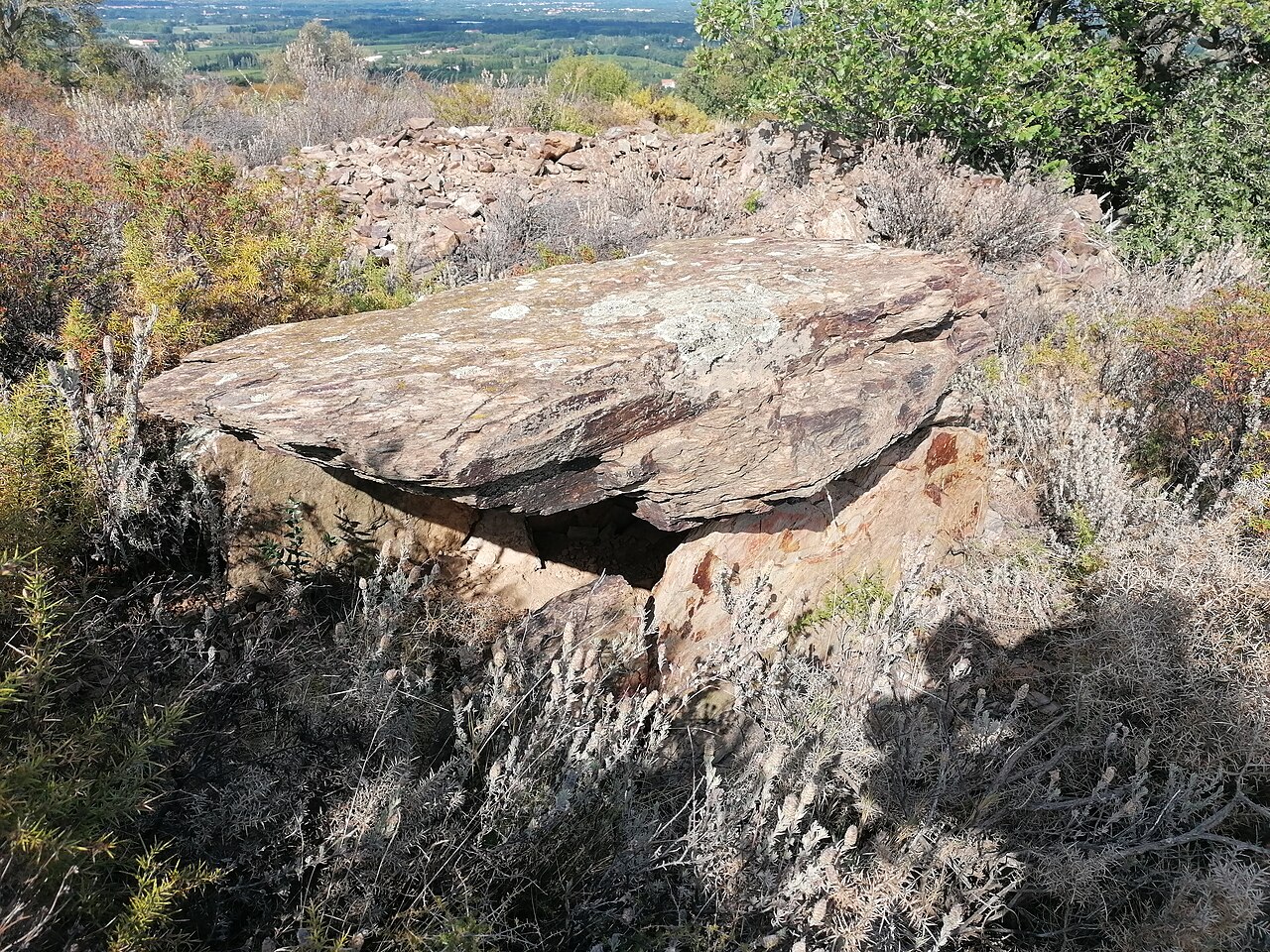 Caixeta