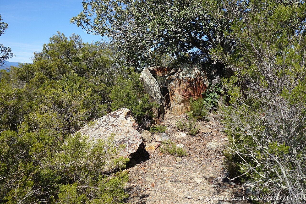 dolmen du Mas Payrot I