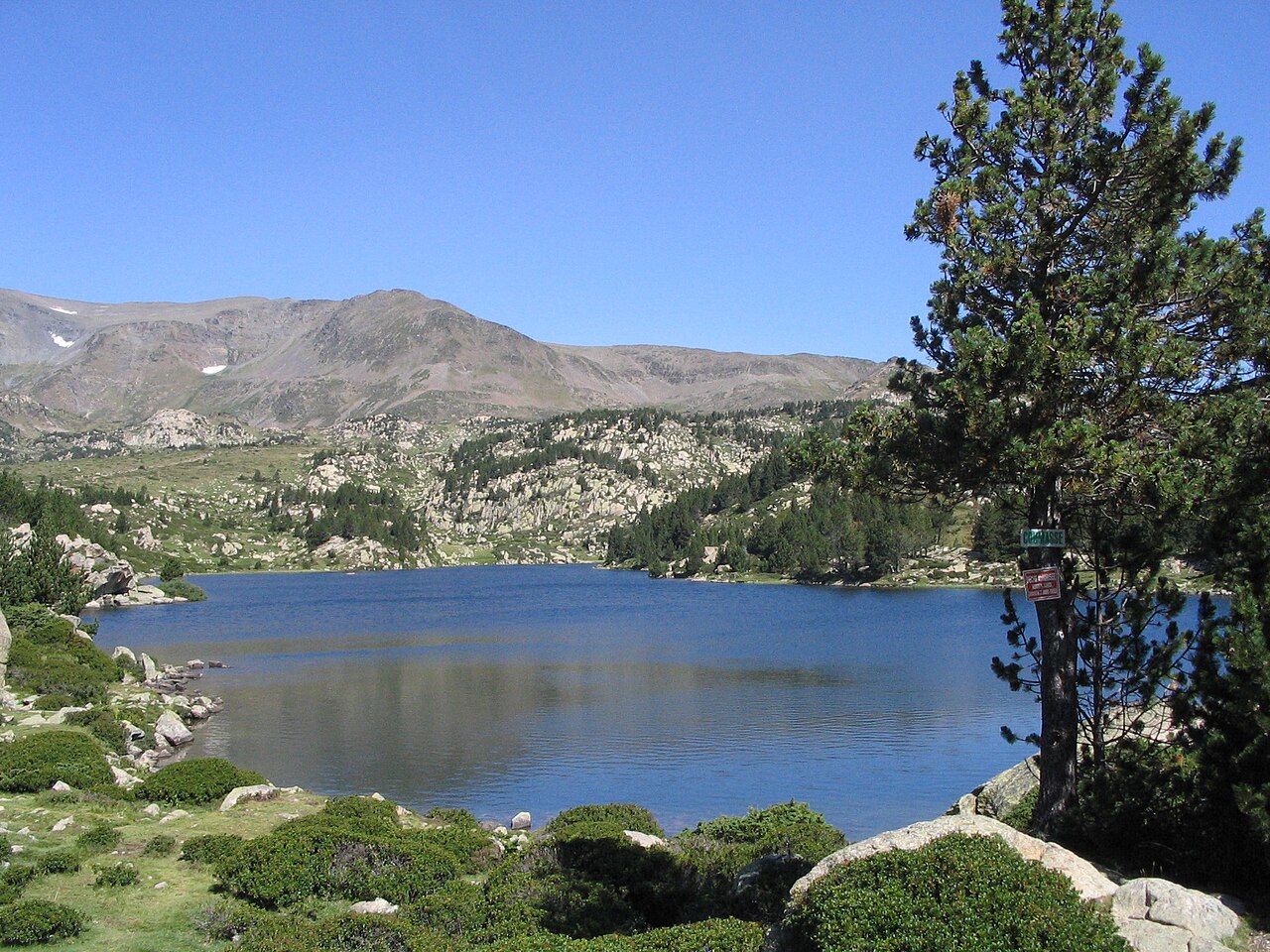 Estany de la Comassa