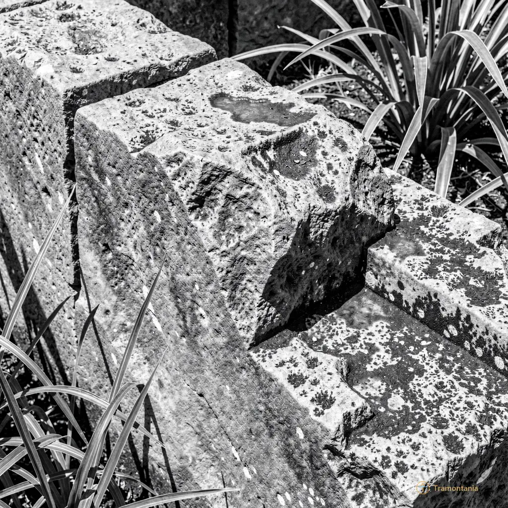 Gros plan sur une œuvre photographique en noir et blanc montrant des textures de pierre ancienne contrastées avec du végétal moderne