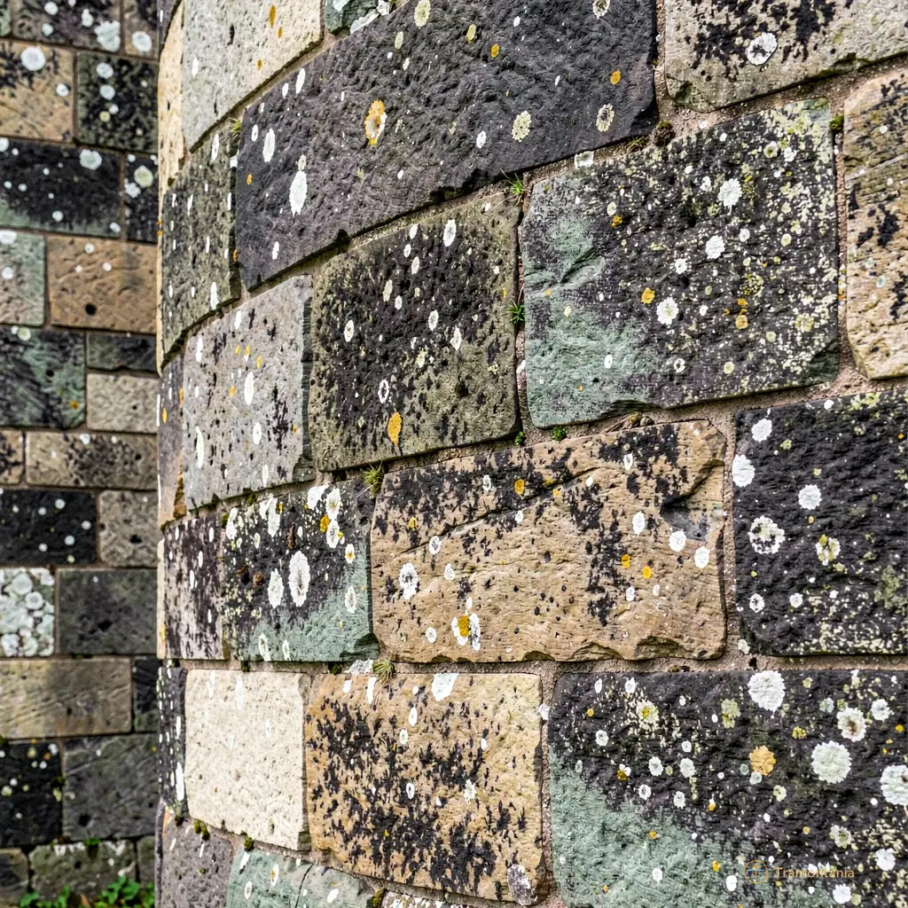 Close-up of weathered stone textures on the castle walls